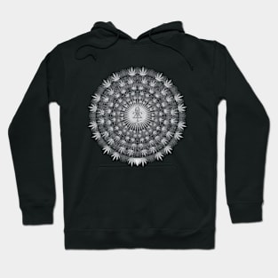 YOUR HIGHNESS Hoodie